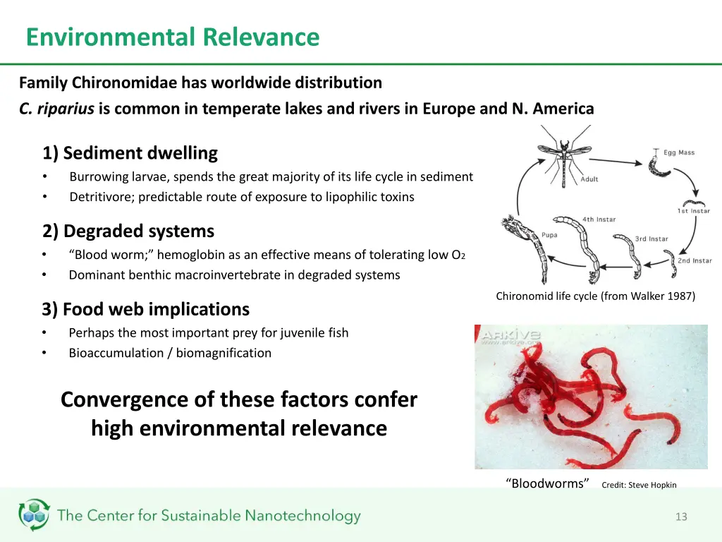 environmental relevance