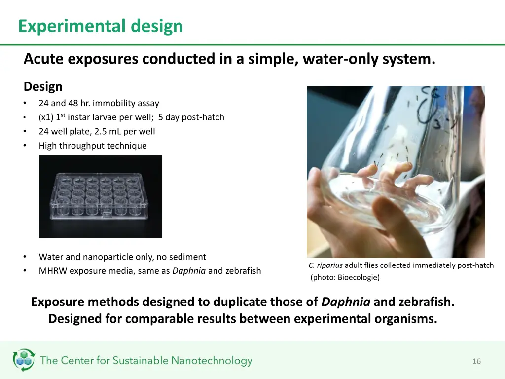 experimental design