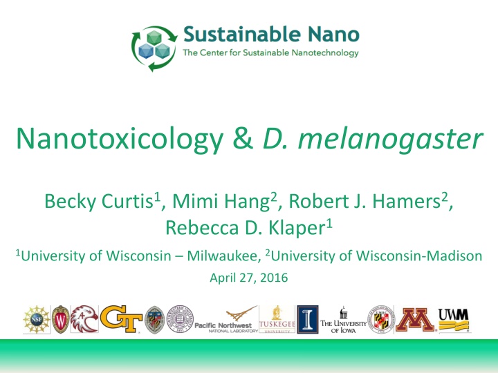 nanotoxicology d melanogaster