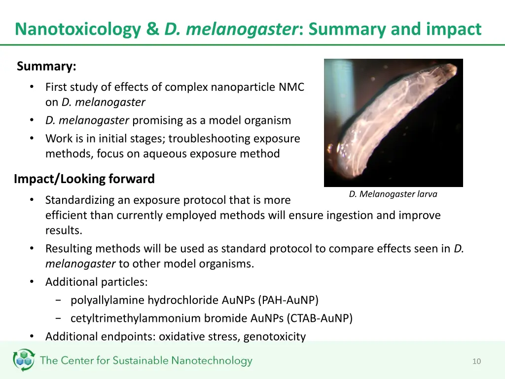 nanotoxicology d melanogaster summary and impact