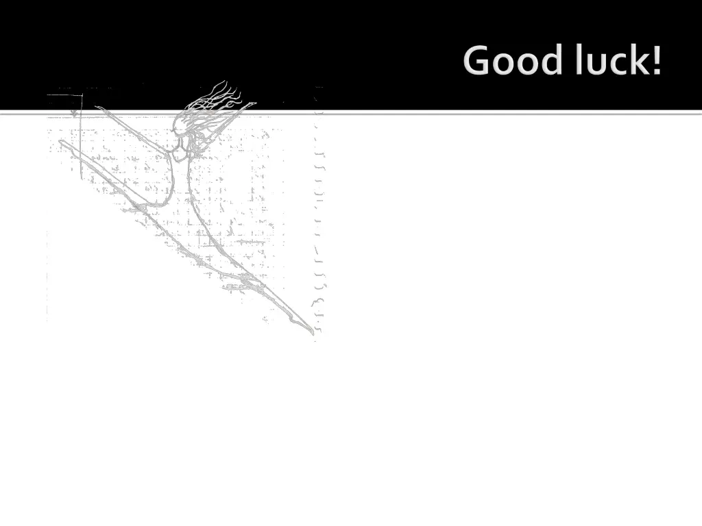 slide29