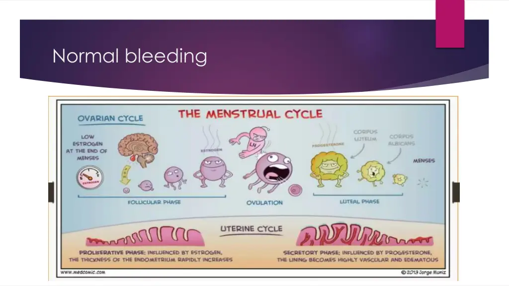normal bleeding