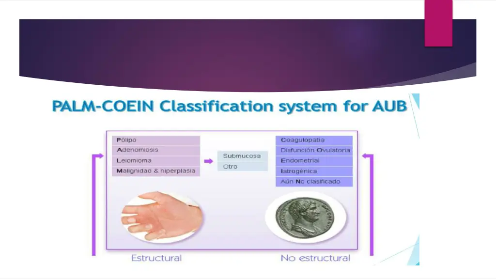 slide7