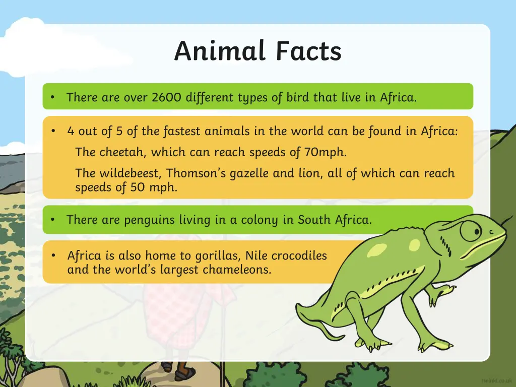 animal facts