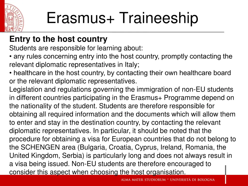 erasmus traineeship 19