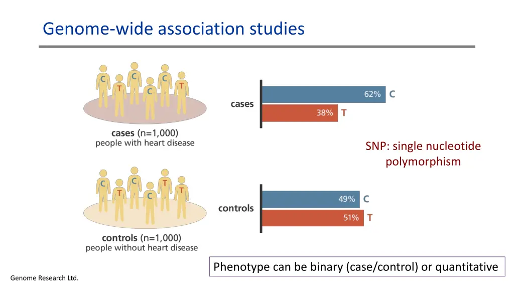 genome wide association studies