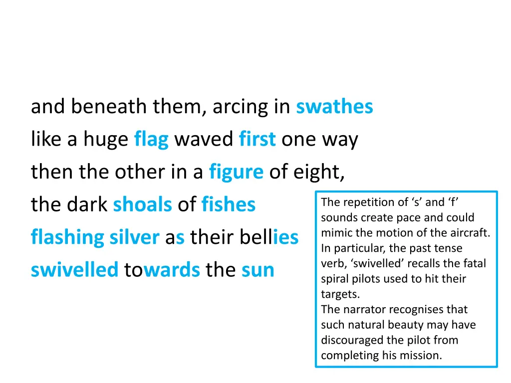and beneath them arcing in swathes like a huge