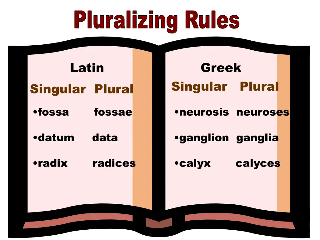 pluralizing rules