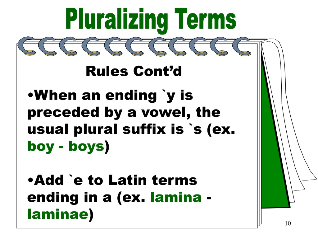 pluralizing terms 2