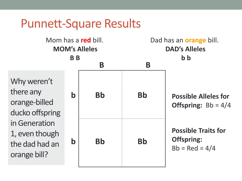 punnett square results