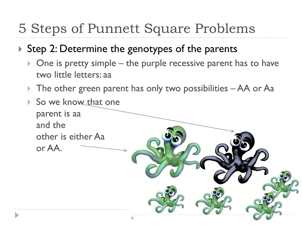 5 steps of punnett square problems 1