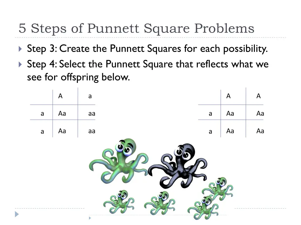 5 steps of punnett square problems 2