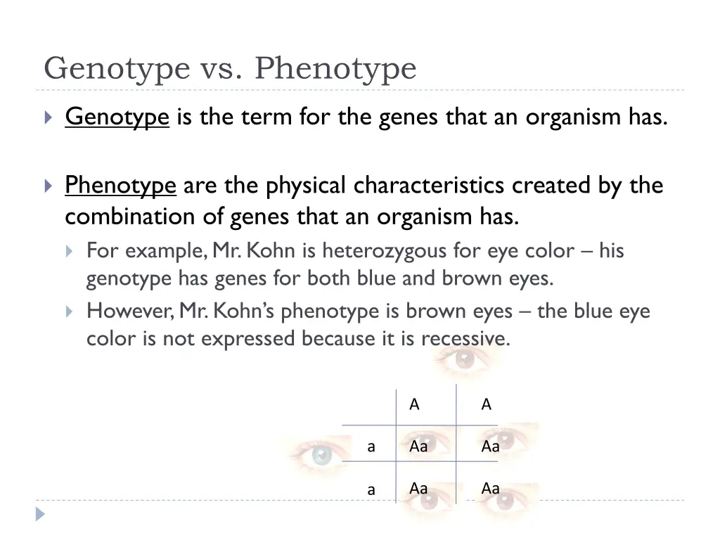 genotype vs phenotype
