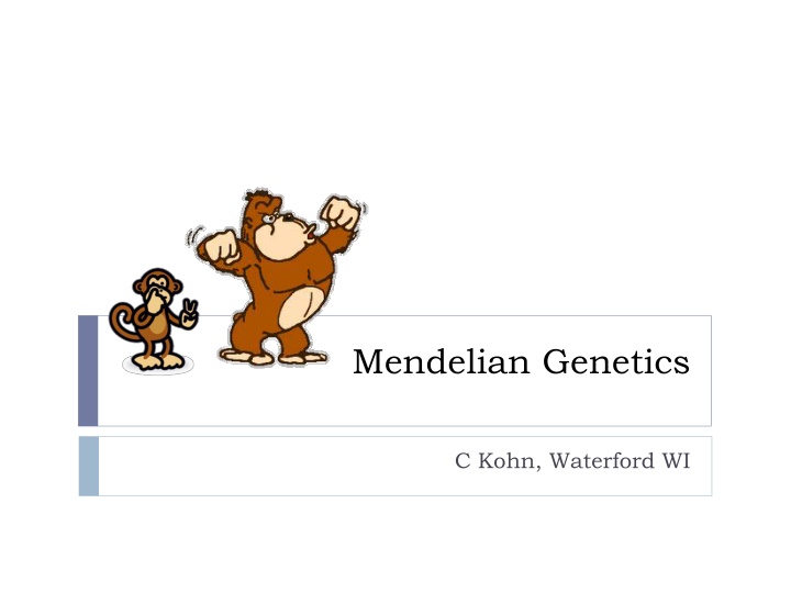 mendelian genetics