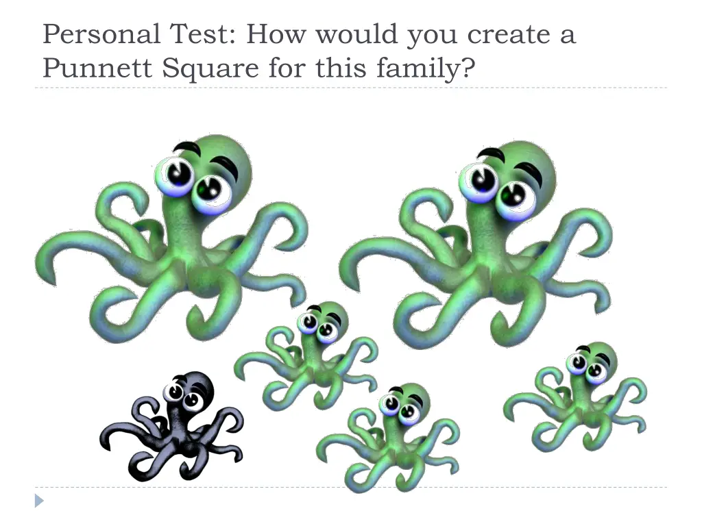 personal test how would you create a punnett