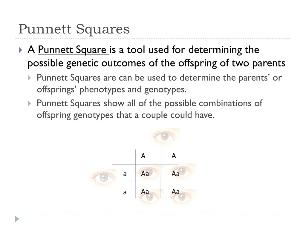 punnett squares