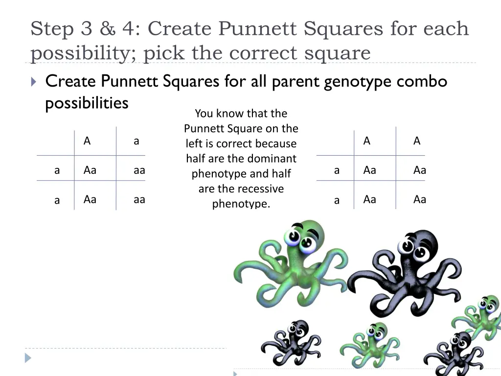 step 3 4 create punnett squares for each