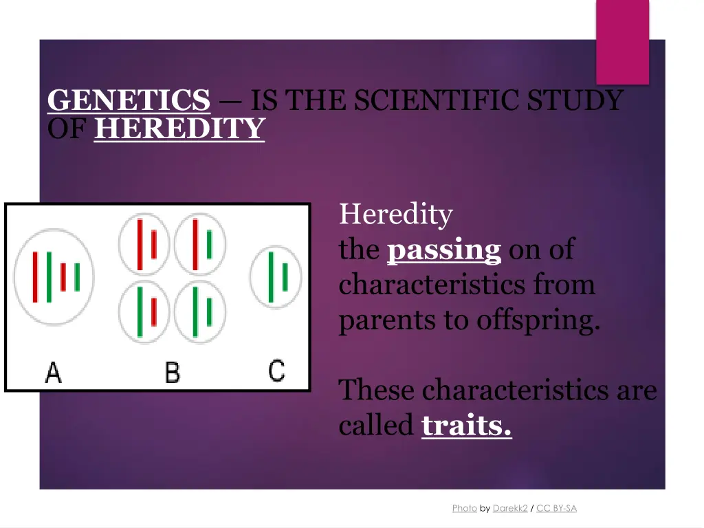 genetics is the scientific study of heredity