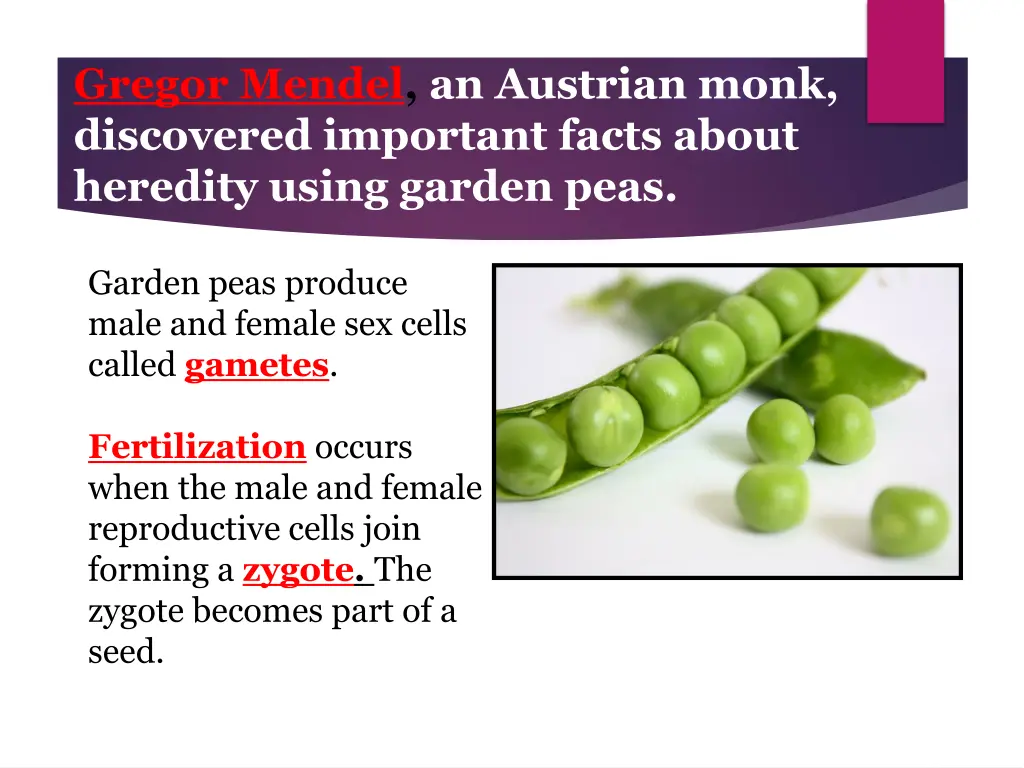 gregor mendel an austrian monk discovered