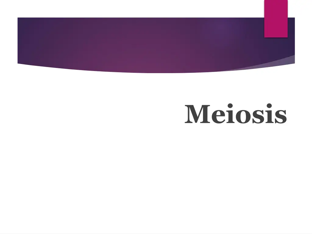 meiosis