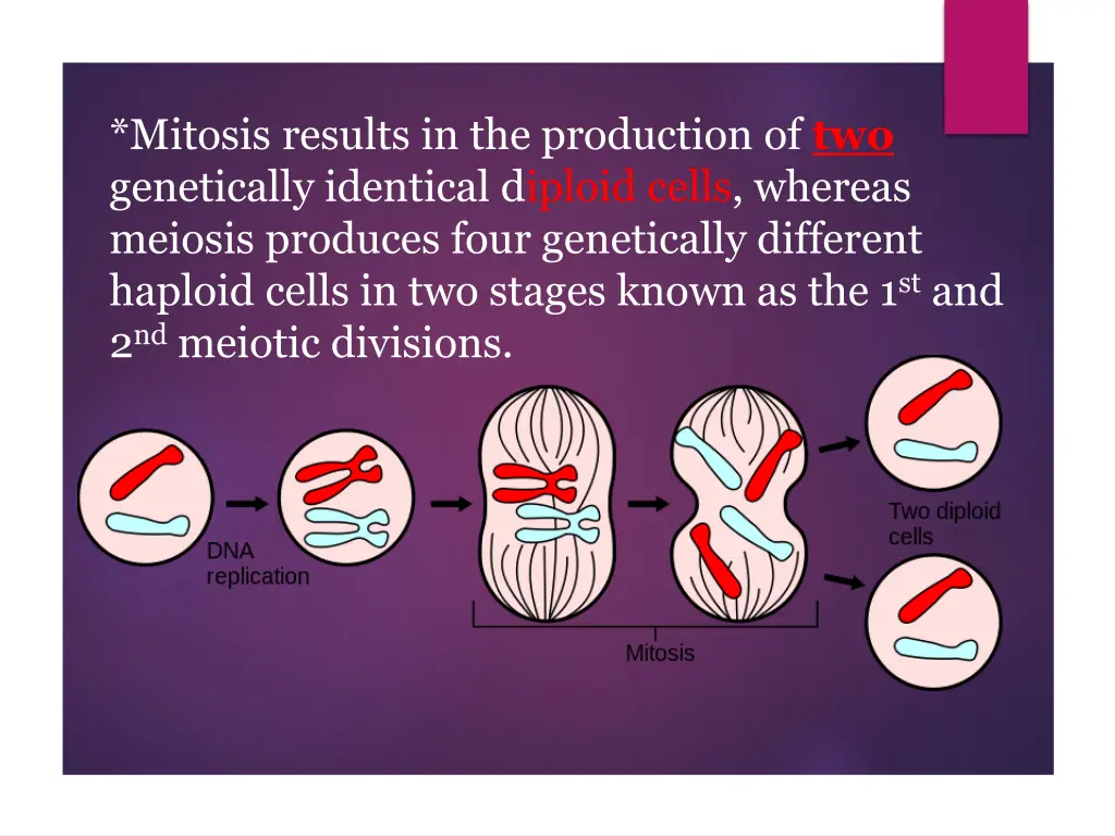 mitosis results in the production