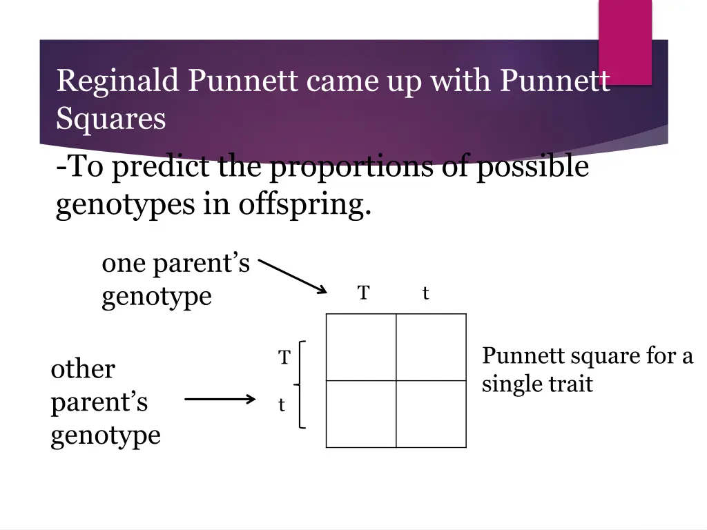 reginald punnett came up with punnett squares