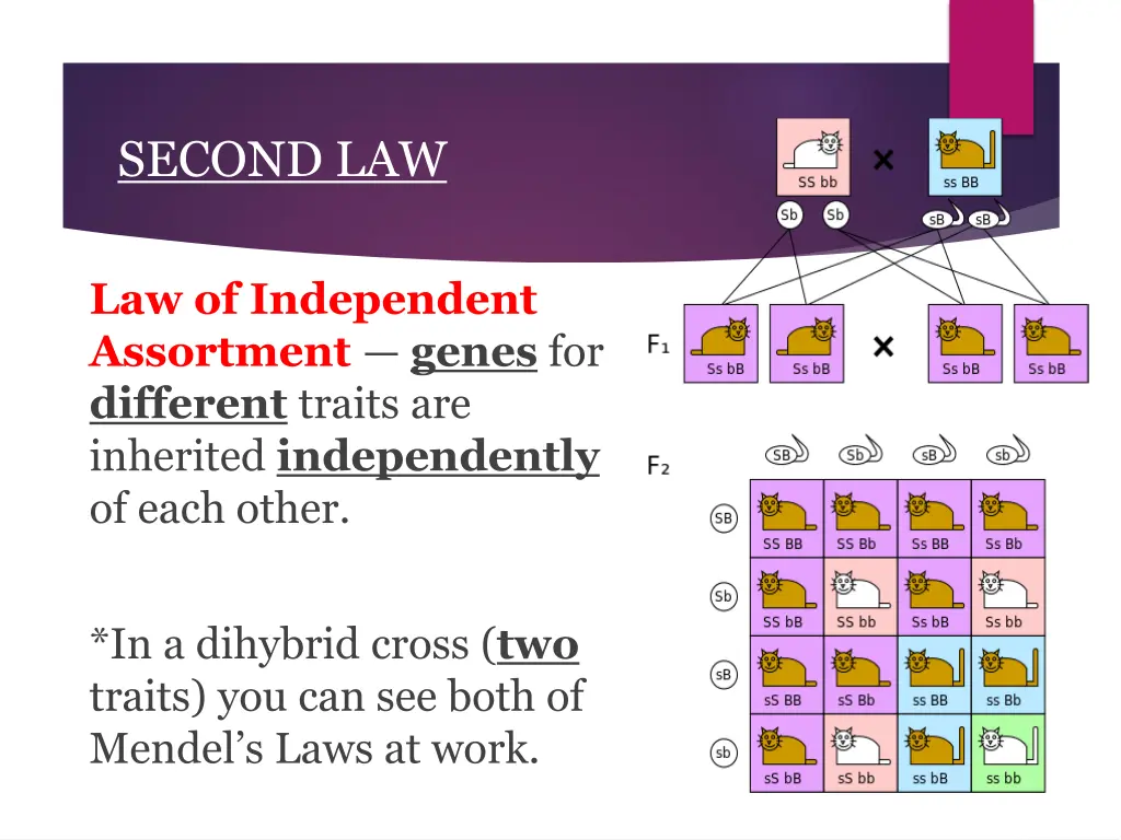 second law