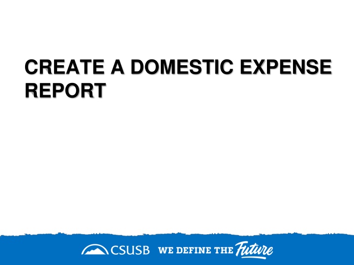 create a domestic expense report