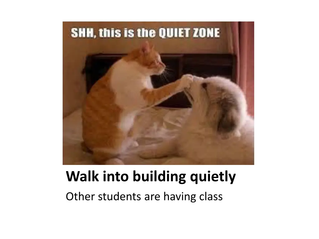 walk into building quietly other students