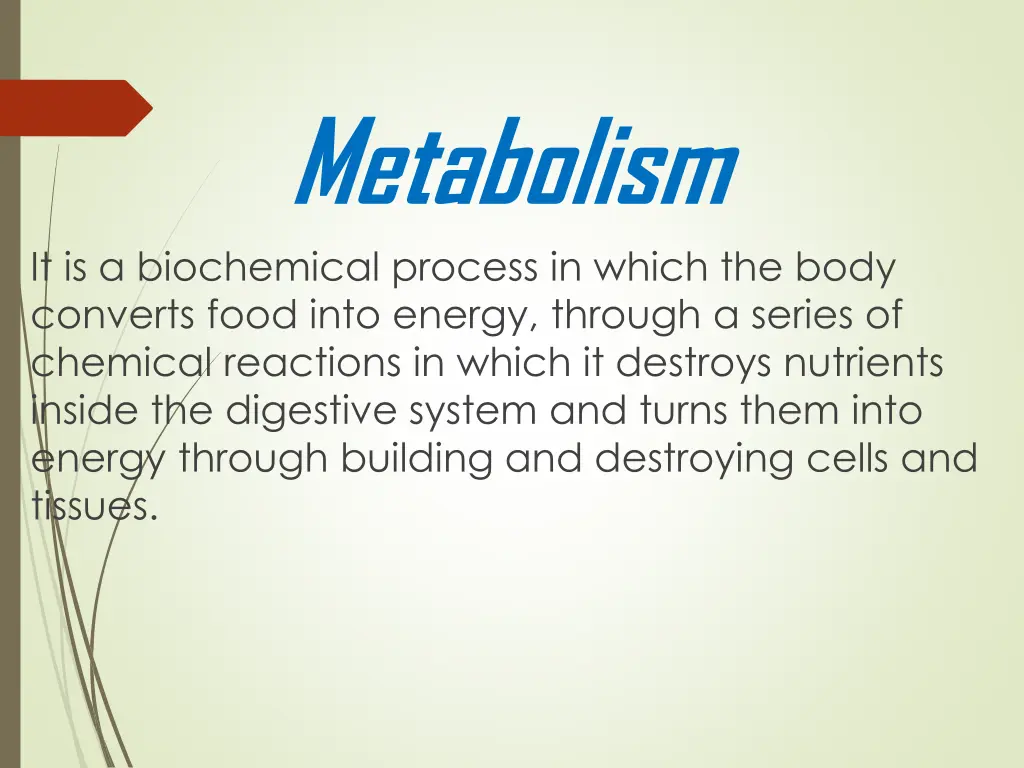 metabolism