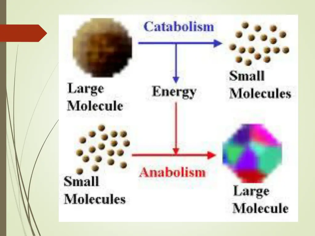 slide6