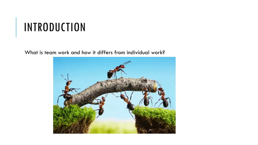 introduction