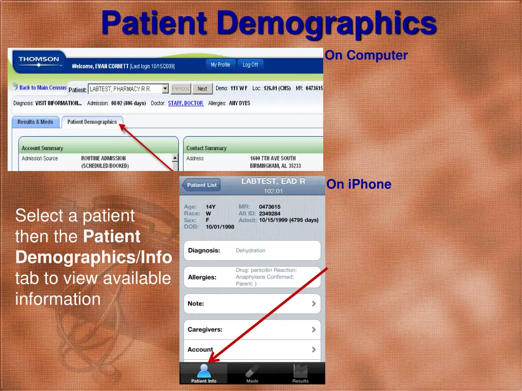 patient demographics