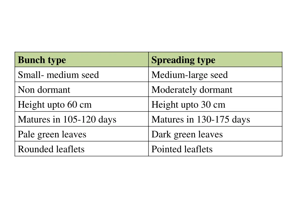 bunch type small medium seed non dormant height