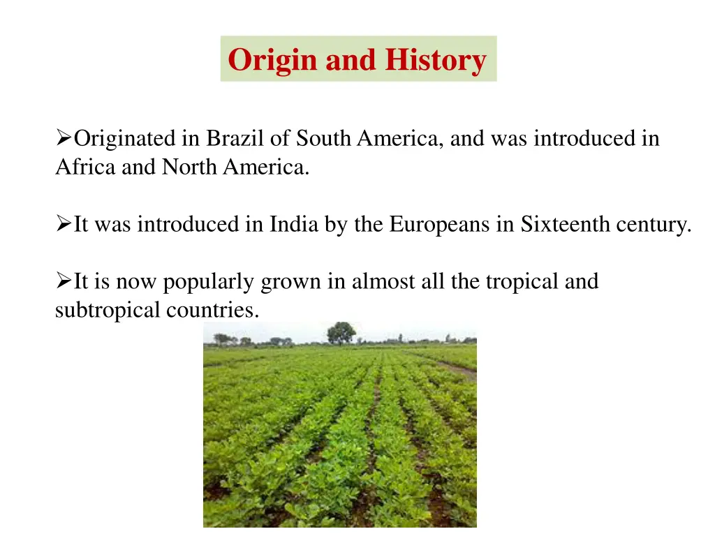origin and history