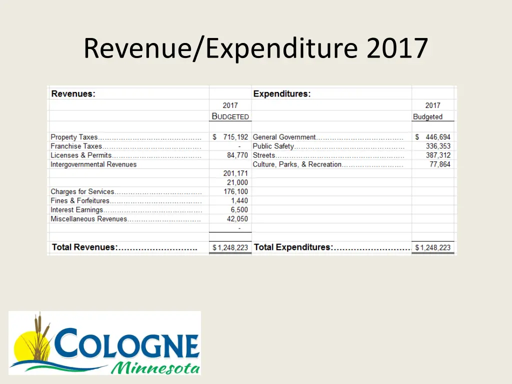 revenue expenditure 2017