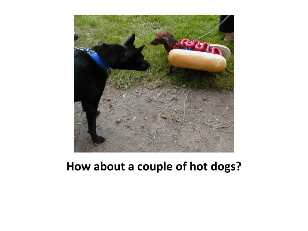 how about a couple of hot dogs