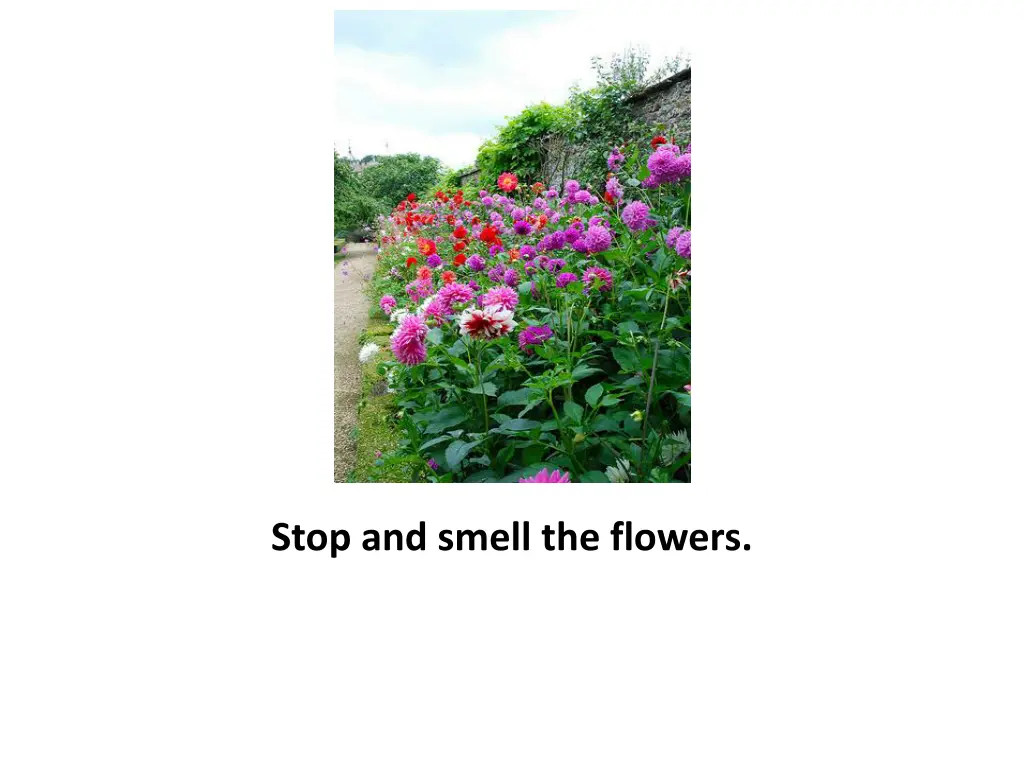 stop and smell the flowers