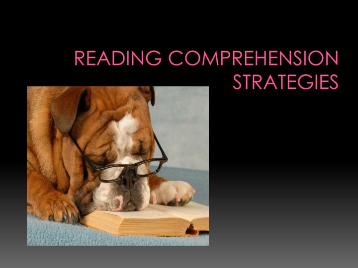 reading comprehension