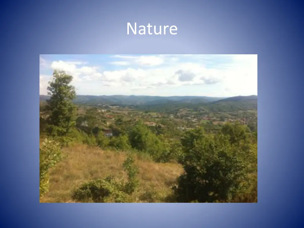 nature