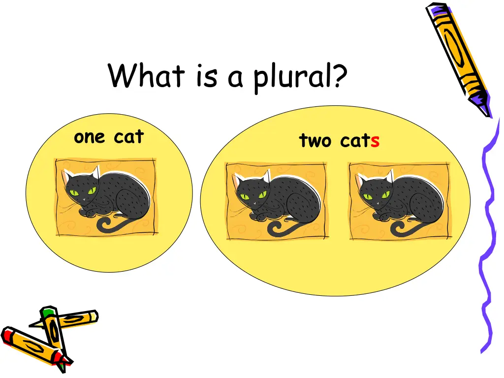 what is a plural