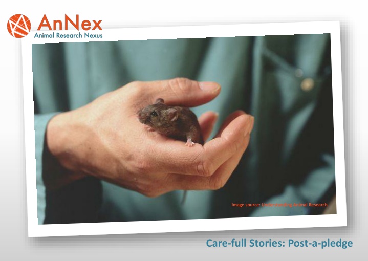 image source understanding animal research