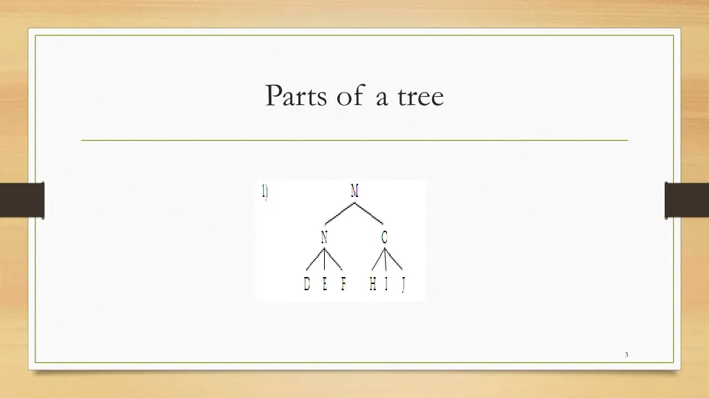 parts of a tree