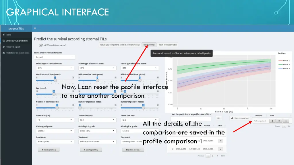 graphical interface 12