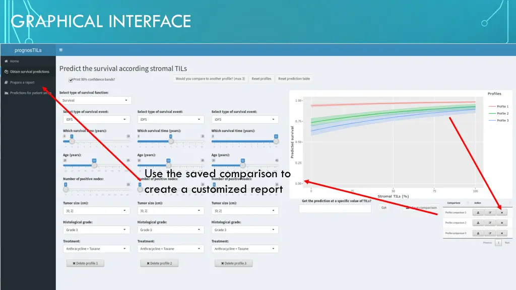 graphical interface 20
