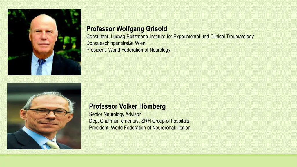 professor wolfgang grisold consultant ludwig