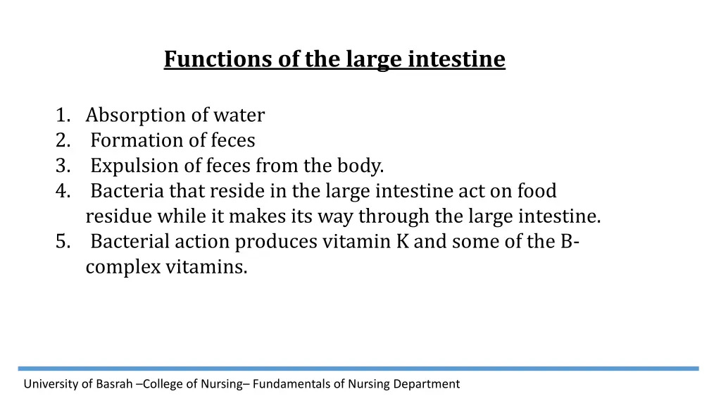 functions of the large intestine