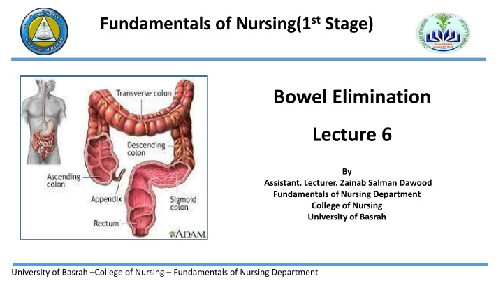 fundamentals of nursing 1 st stage