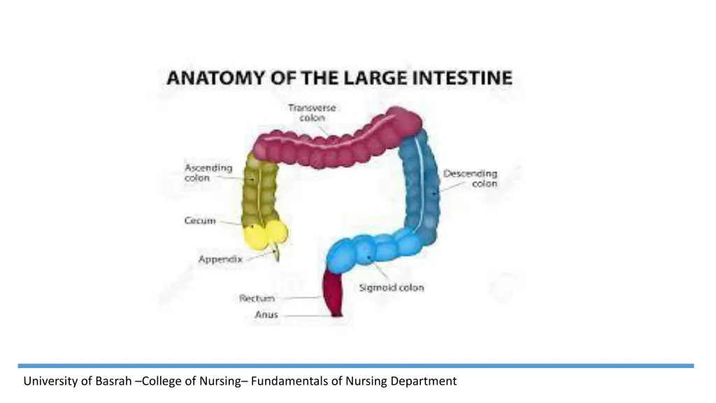 university of basrah college of nursing 1