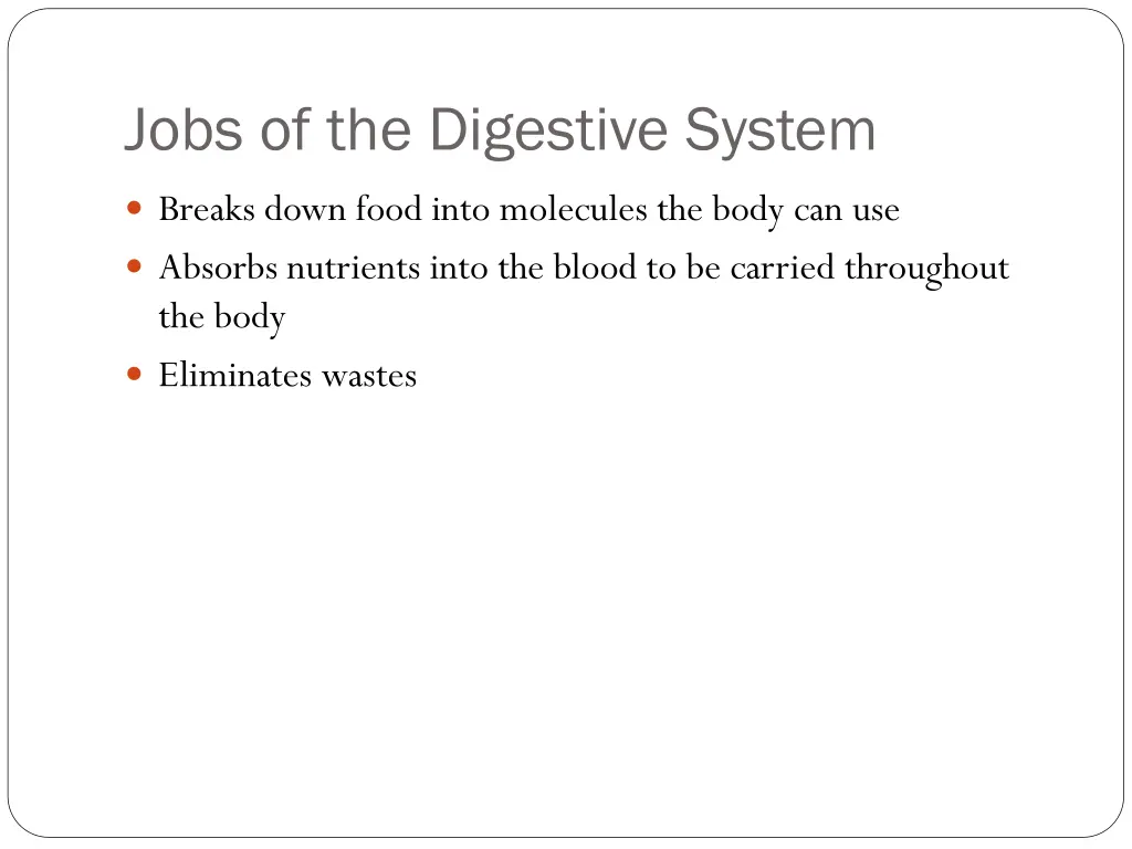 jobs of the digestive system